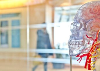 Traumatic Brain Injuries and Car Accidents